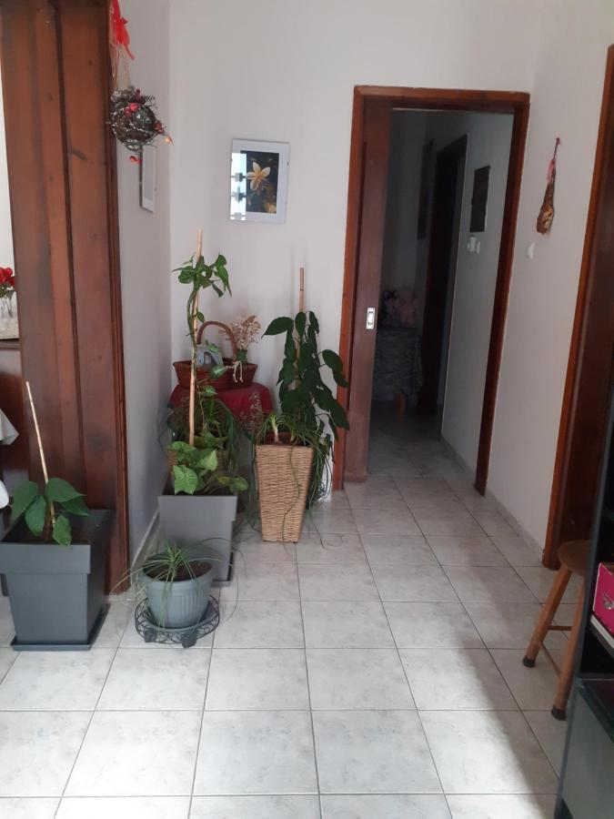 Vagelis 2 Nemea Apartments Kültér fotó