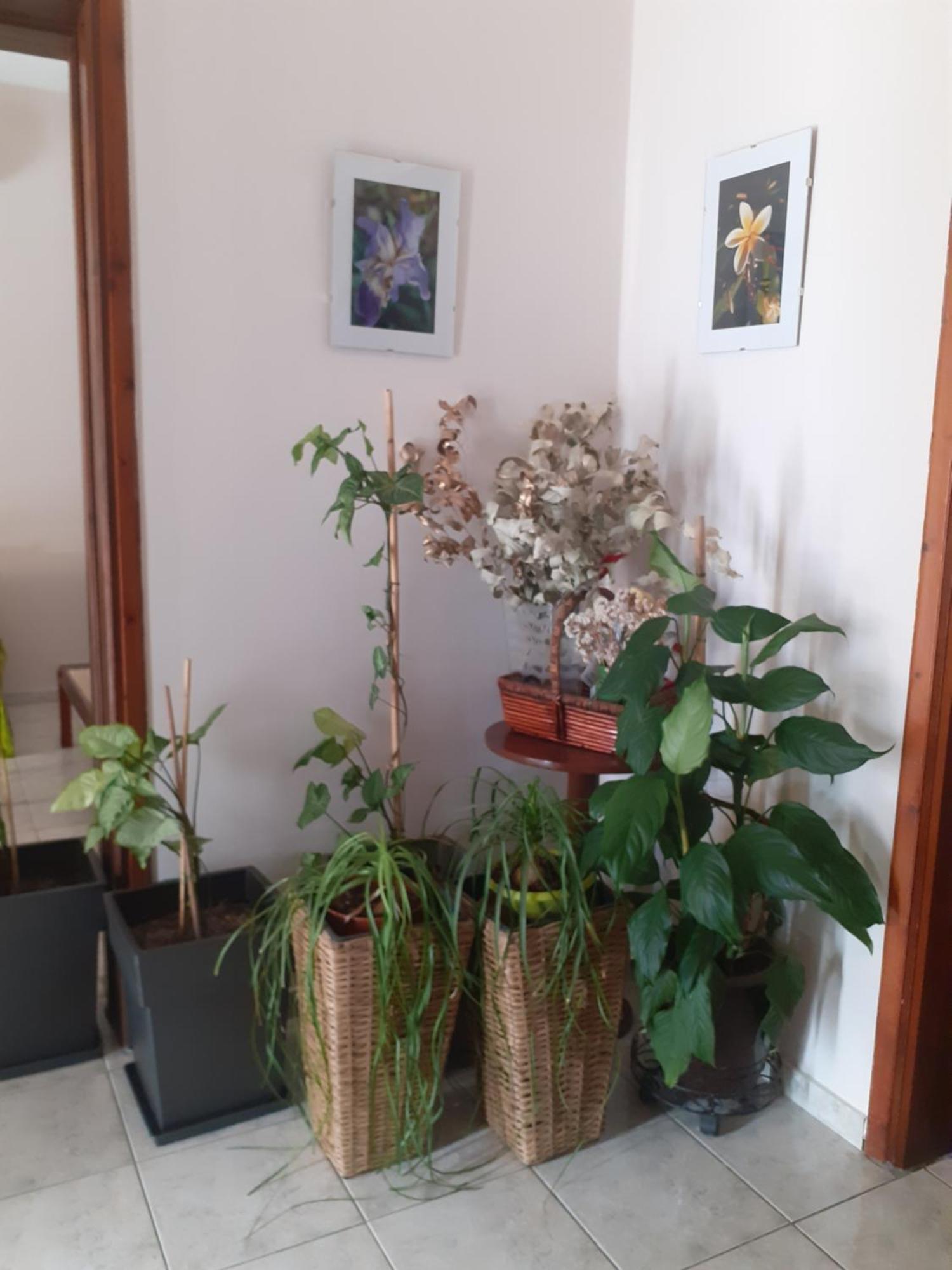 Vagelis 2 Nemea Apartments Kültér fotó
