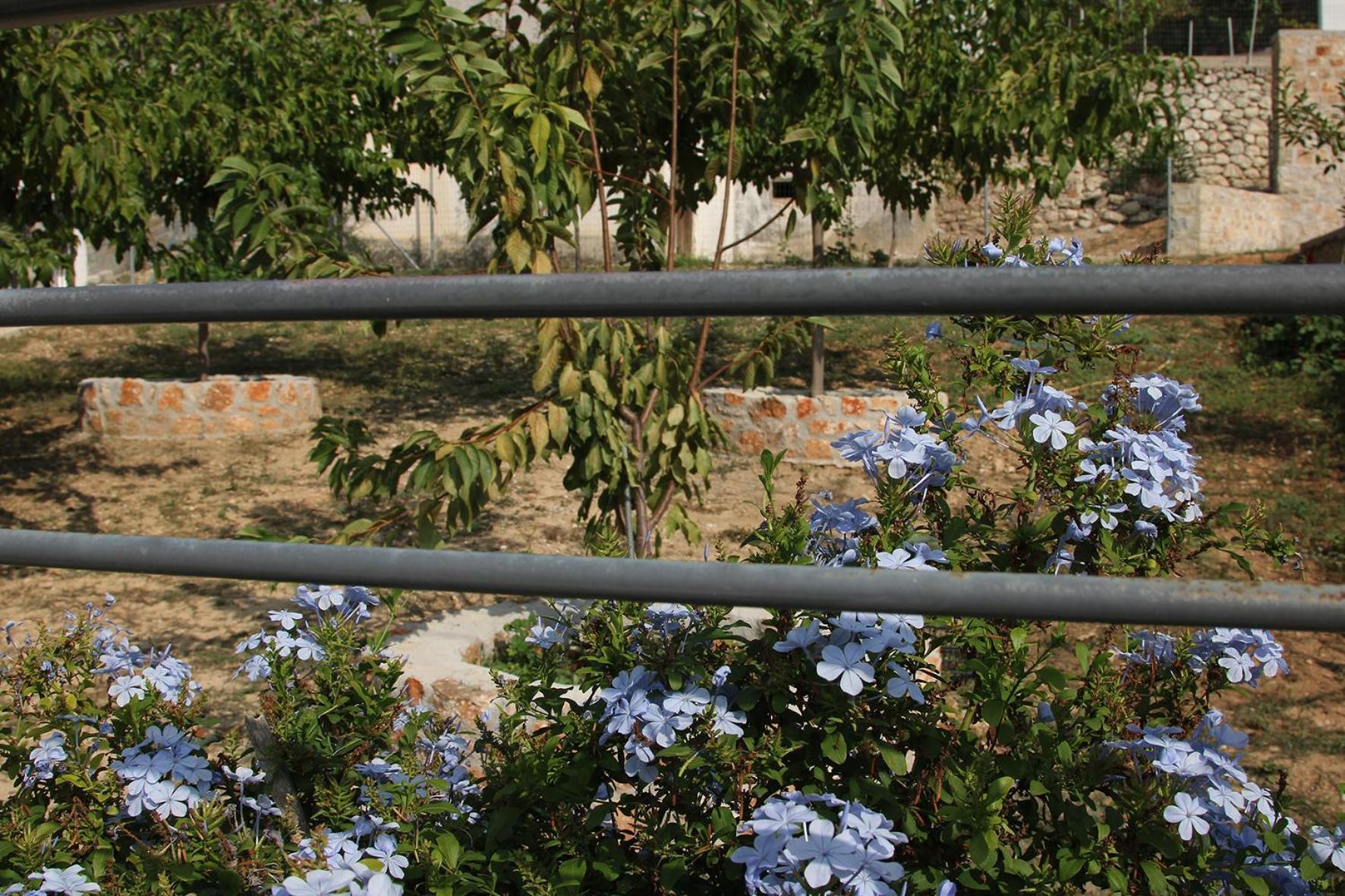 Vagelis 2 Nemea Apartments Kültér fotó