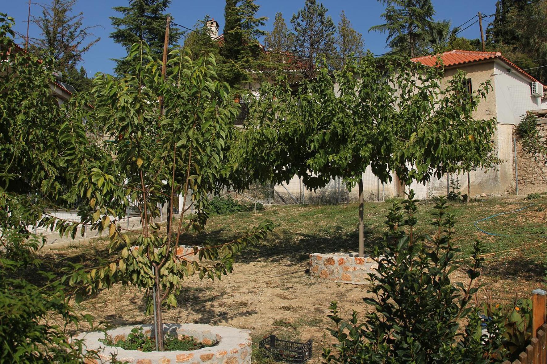 Vagelis 2 Nemea Apartments Kültér fotó