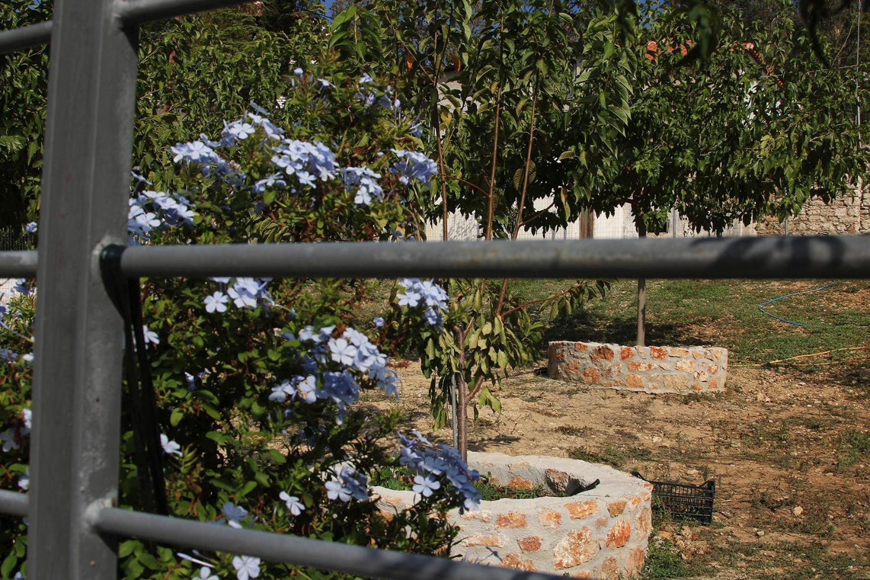 Vagelis 2 Nemea Apartments Kültér fotó